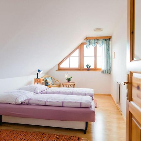 Sausal Ferienwohnung Stiegelbauer Fichte מראה חיצוני תמונה